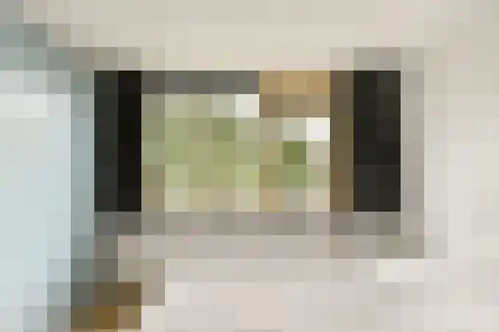 Klimroos 27 Leiden thumbnail 18