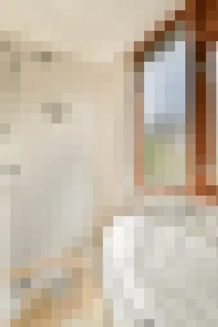 Klimroos 27 Leiden thumbnail 21