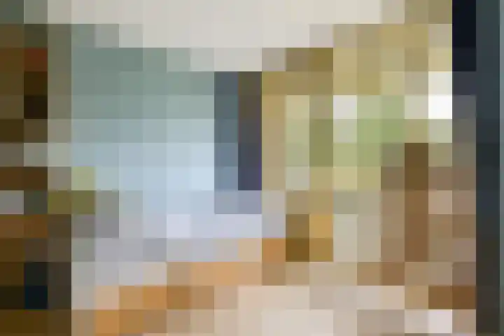 Klimroos 27 Leiden thumbnail 23