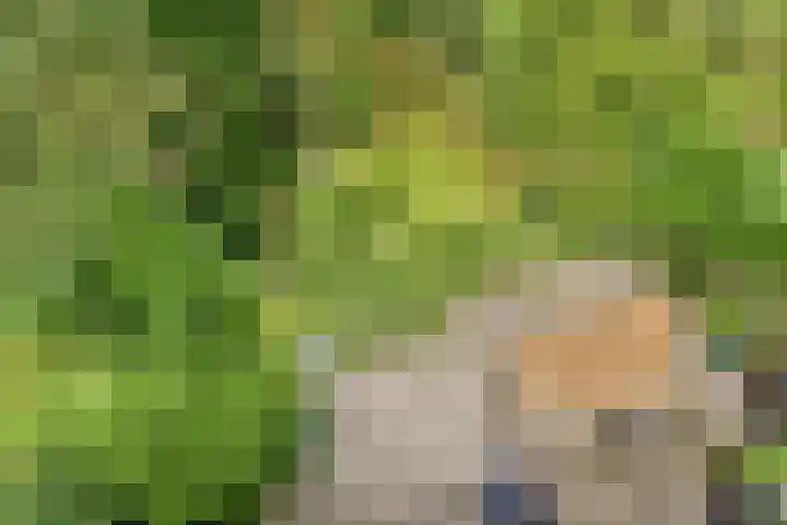 Klimroos 27 Leiden thumbnail 26