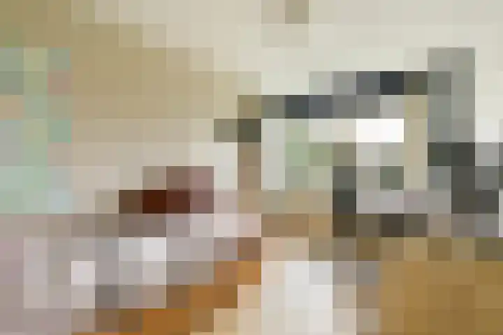 Klimroos 27 Leiden thumbnail 27
