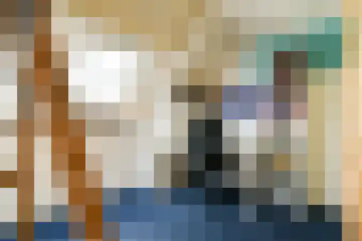 Klimroos 27 Leiden thumbnail 31