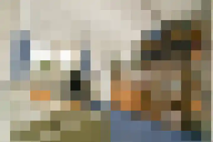 Klimroos 27 Leiden thumbnail 32