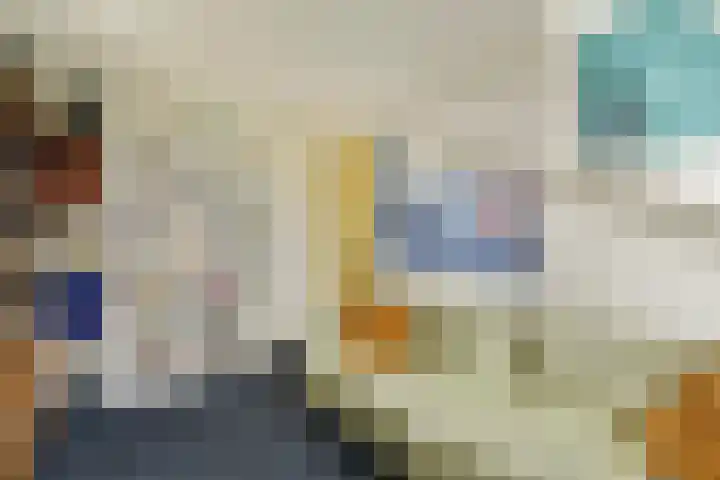 Klimroos 27 Leiden thumbnail 33