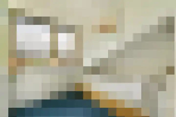 Klimroos 27 Leiden thumbnail 34
