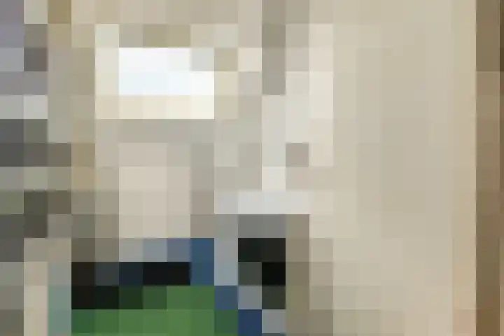 Klimroos 27 Leiden thumbnail 36