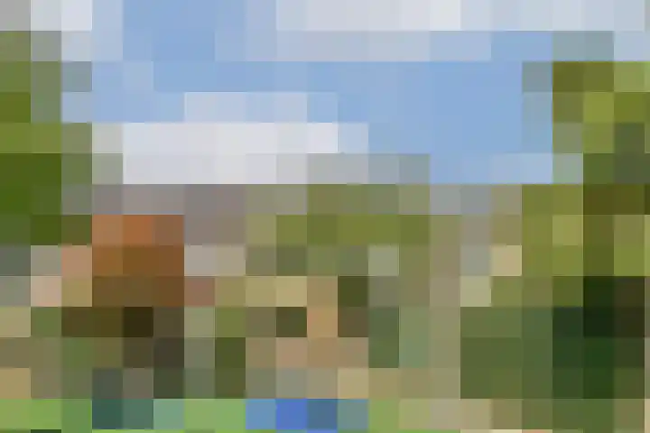 Klimroos 27 Leiden thumbnail 38