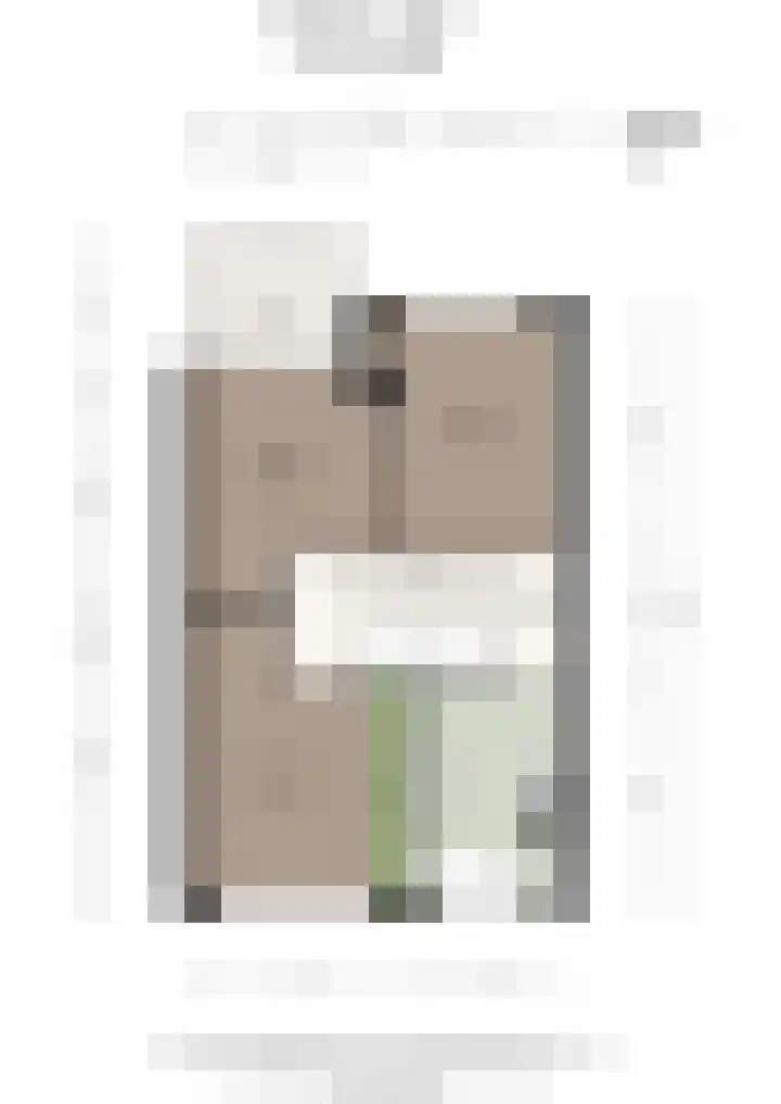 Klimroos 27 Leiden thumbnail 42