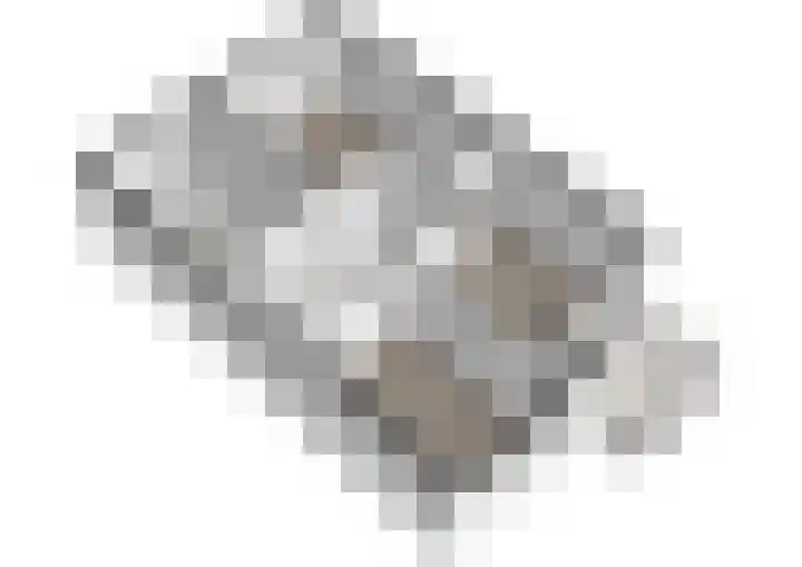Klimroos 27 Leiden thumbnail 43