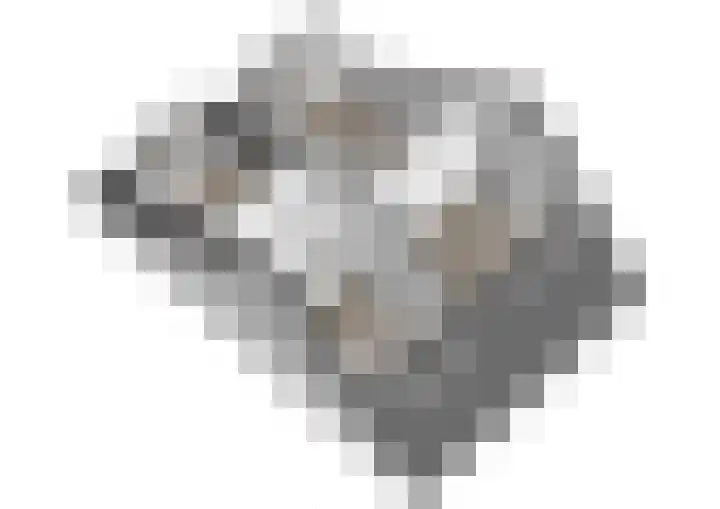 Klimroos 27 Leiden thumbnail 46