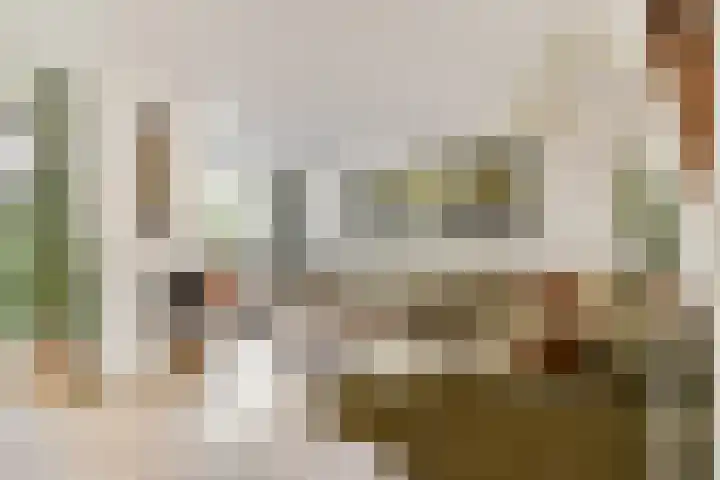 Klimroos 27 Leiden thumbnail 5