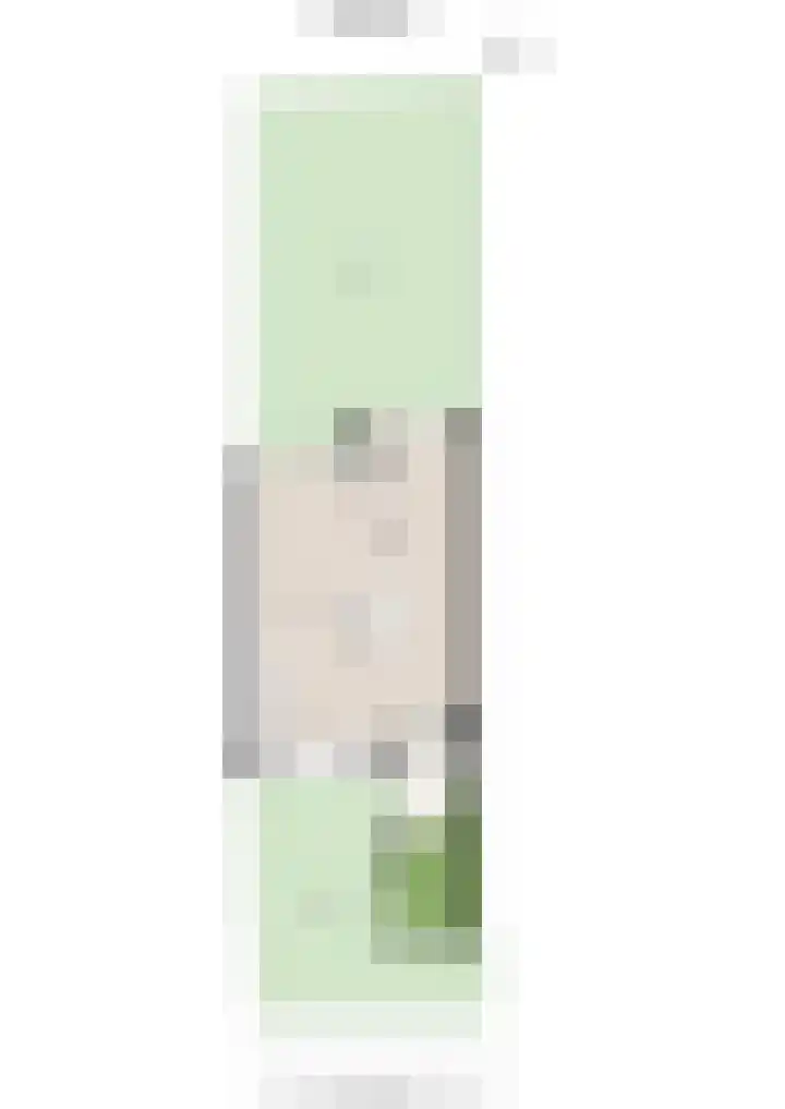 Klimroos 27 Leiden thumbnail 51
