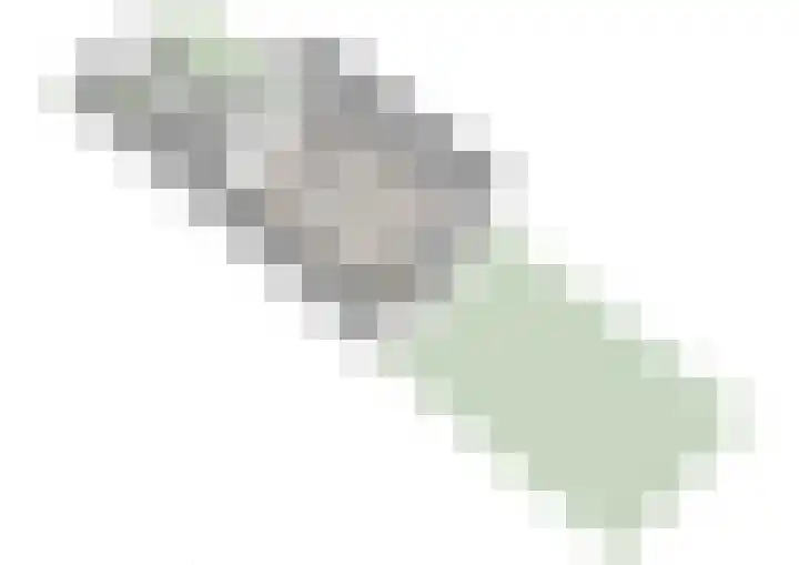 Klimroos 27 Leiden thumbnail 52