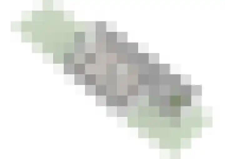 Klimroos 27 Leiden thumbnail 53