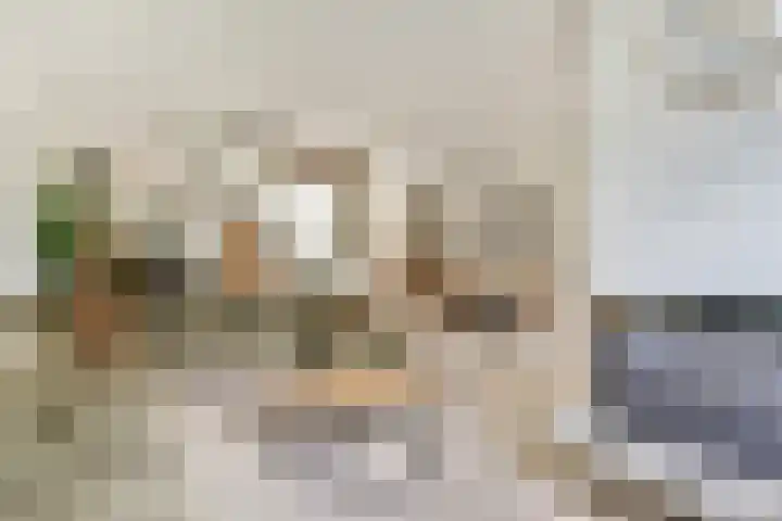Klimroos 27 Leiden thumbnail 6