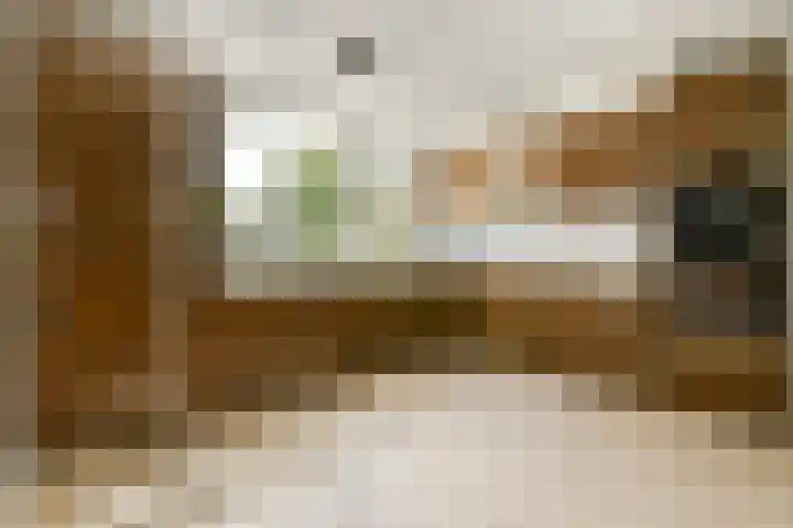 Klimroos 27 Leiden thumbnail 8
