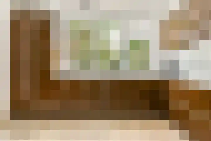 Klimroos 27 Leiden thumbnail 9