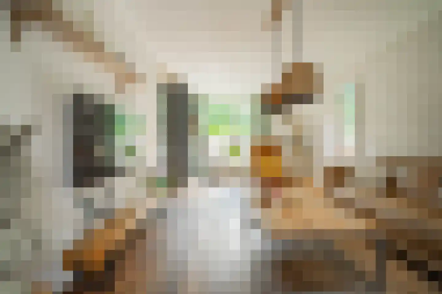 Klimroosstraat 22 Bakel thumbnail 11