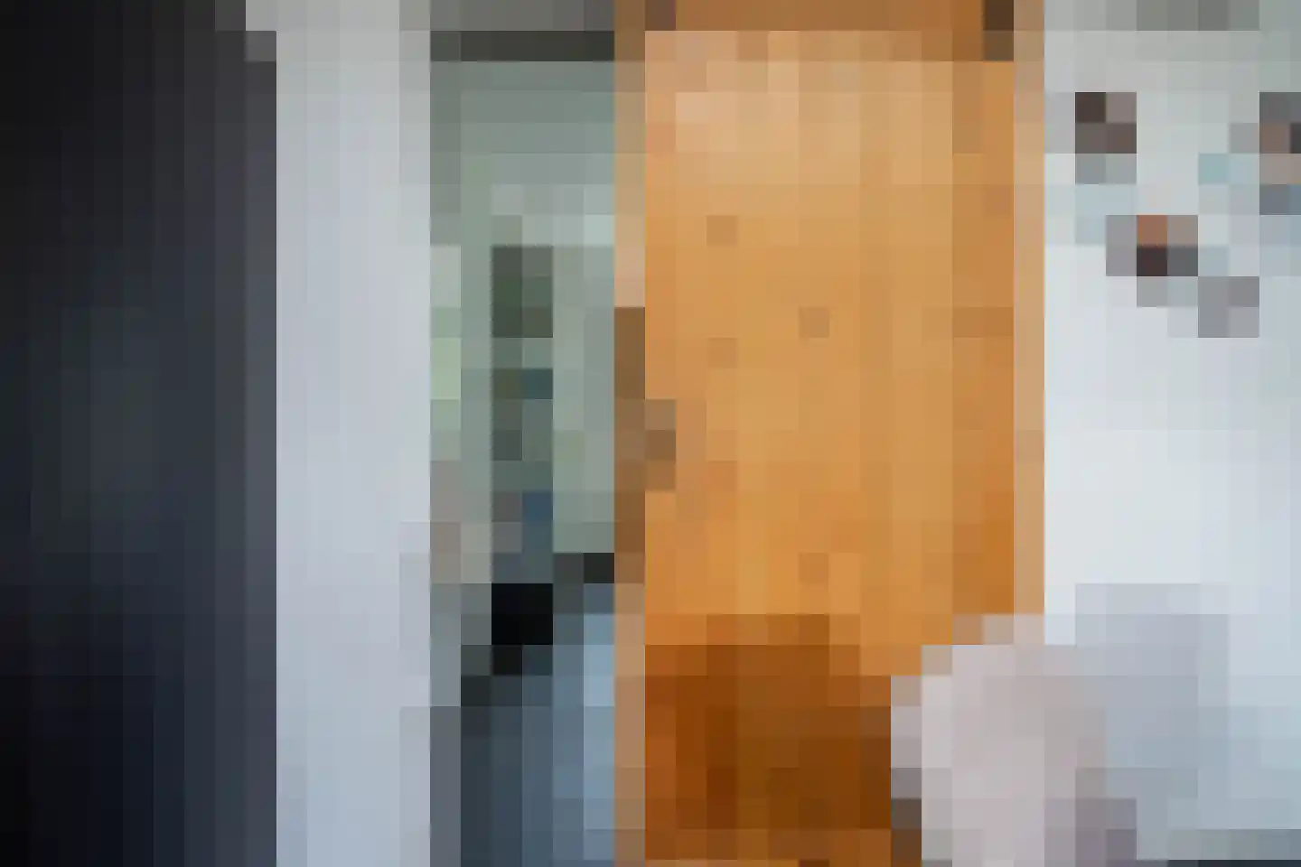 Klimroosstraat 22 Bakel thumbnail 22
