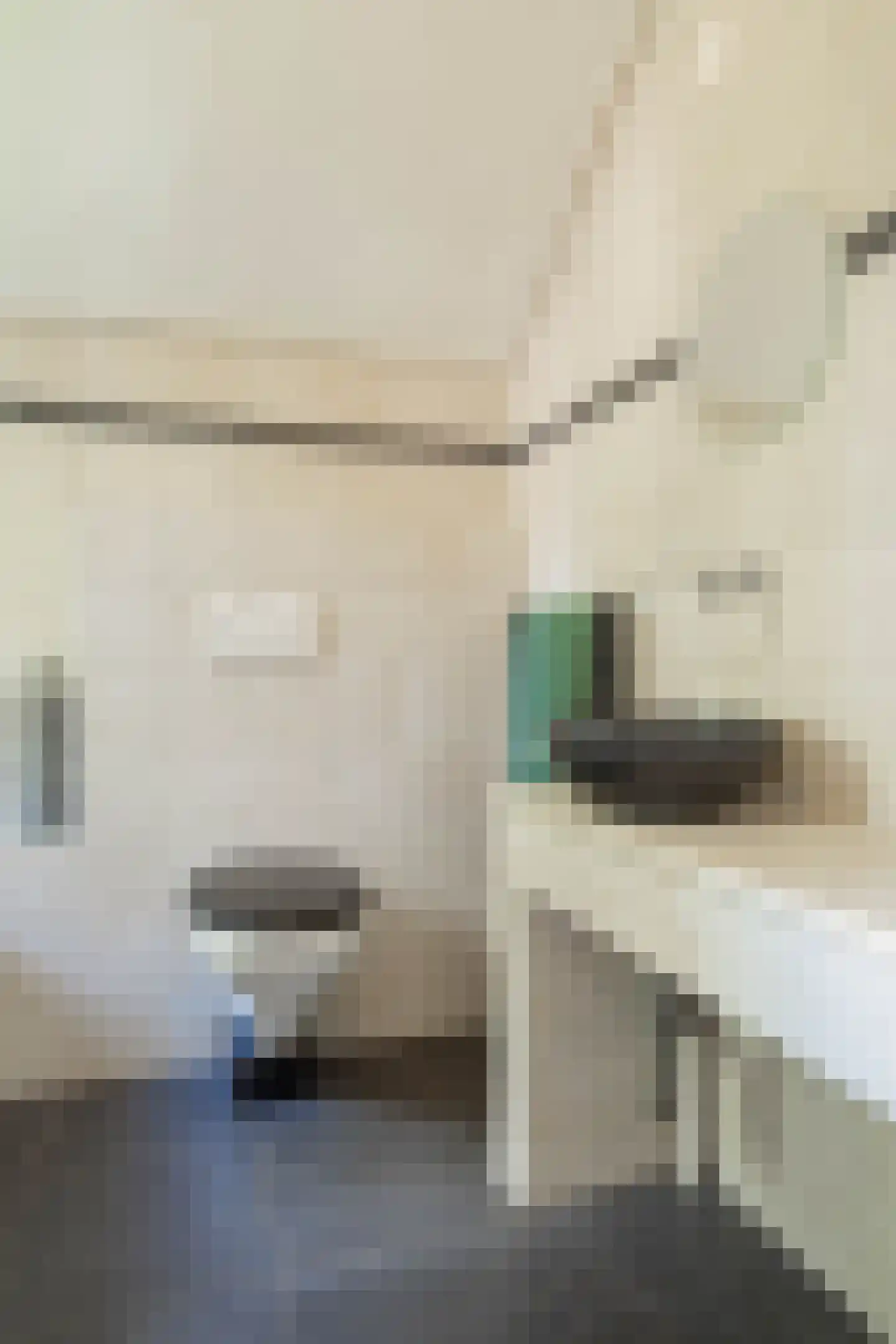 Klimroosstraat 22 Bakel thumbnail 29