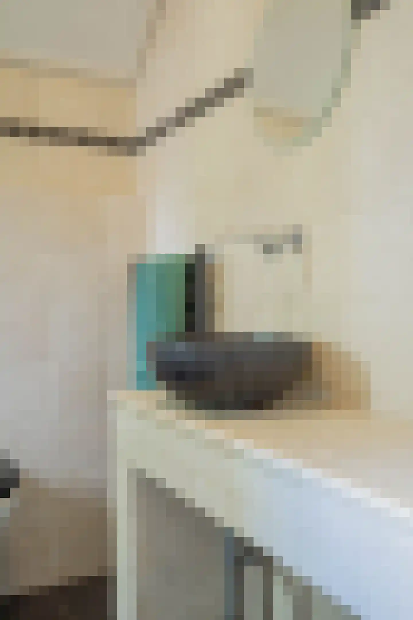 Klimroosstraat 22 Bakel thumbnail 30