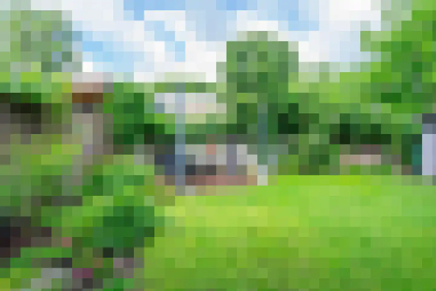 Klimroosstraat 22 Bakel thumbnail 37