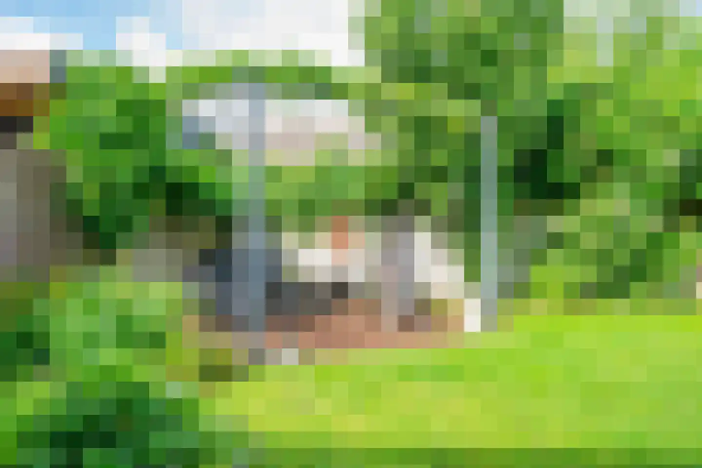 Klimroosstraat 22 Bakel thumbnail 38