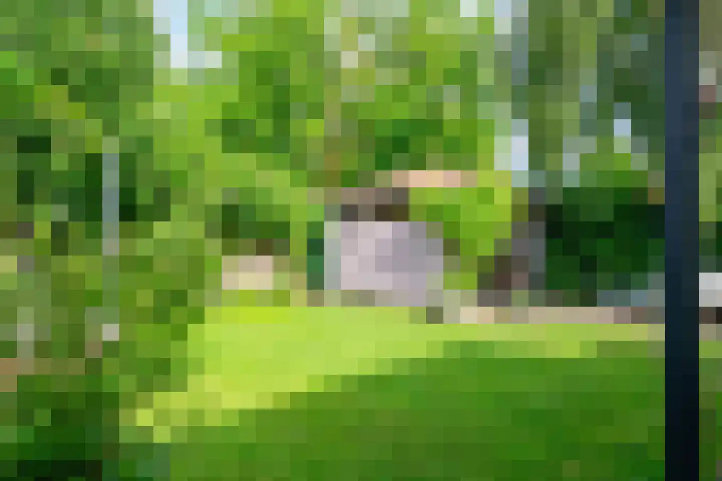 Klimroosstraat 22 Bakel thumbnail 39