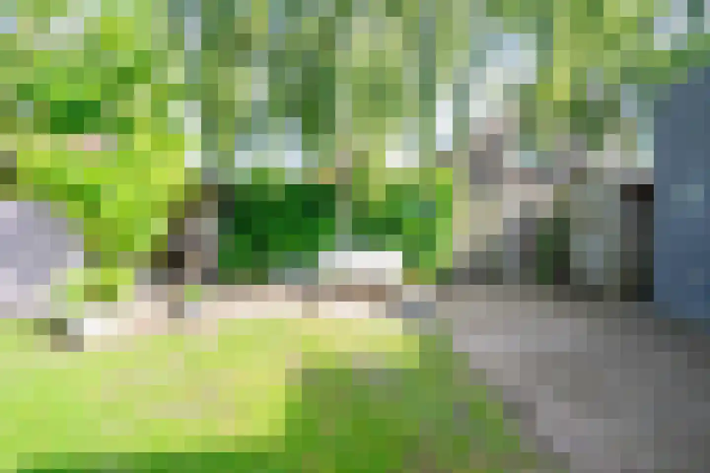 Klimroosstraat 22 Bakel thumbnail 40