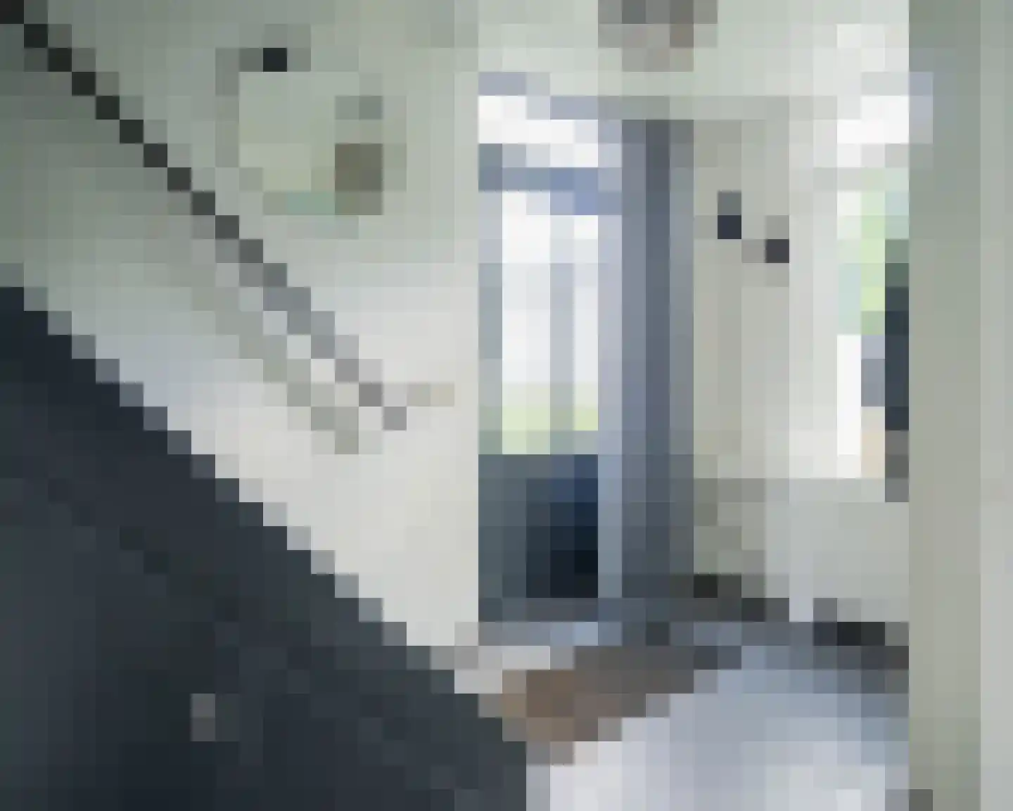 Klimroosstraat 22 Bakel thumbnail 5