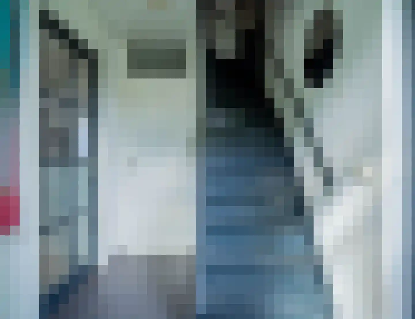 Klimroosstraat 22 Bakel thumbnail 6