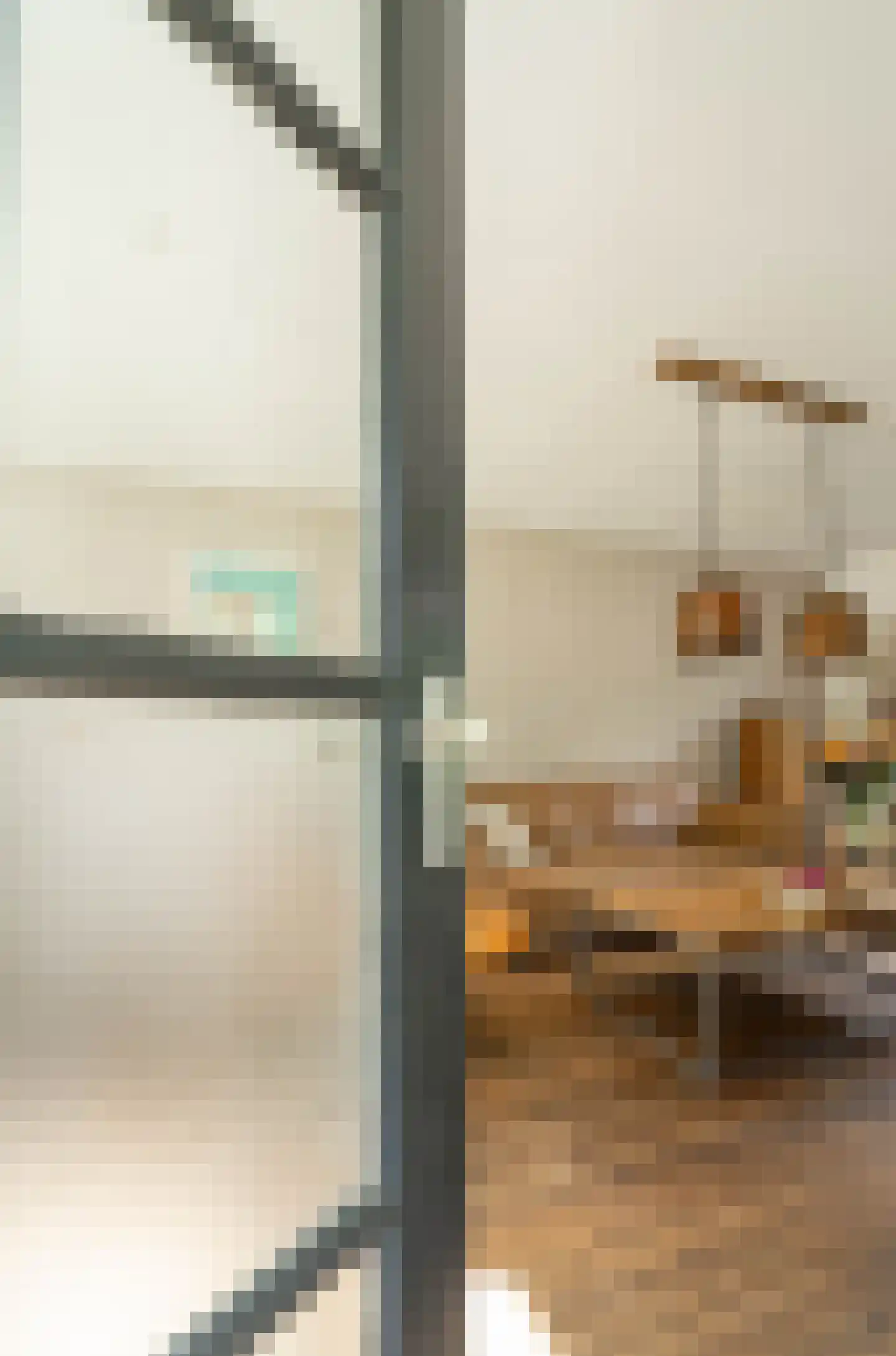 Klimroosstraat 22 Bakel thumbnail 8