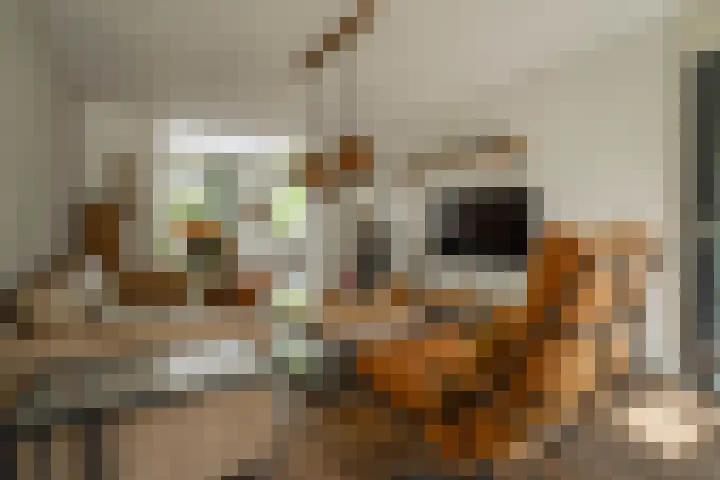 Klimroosstraat 22 Bakel thumbnail 9