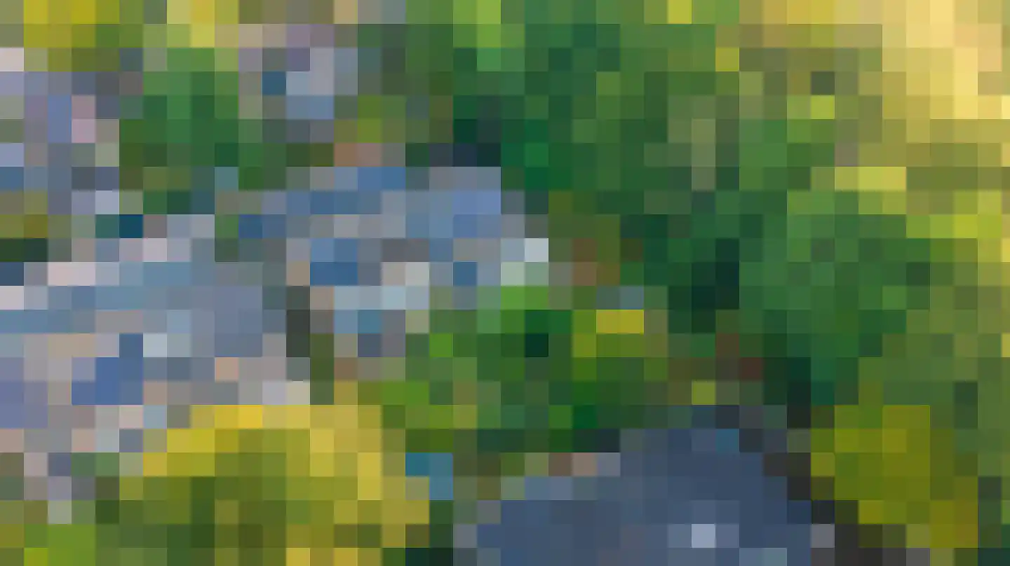 Klimtuin 80 Epe