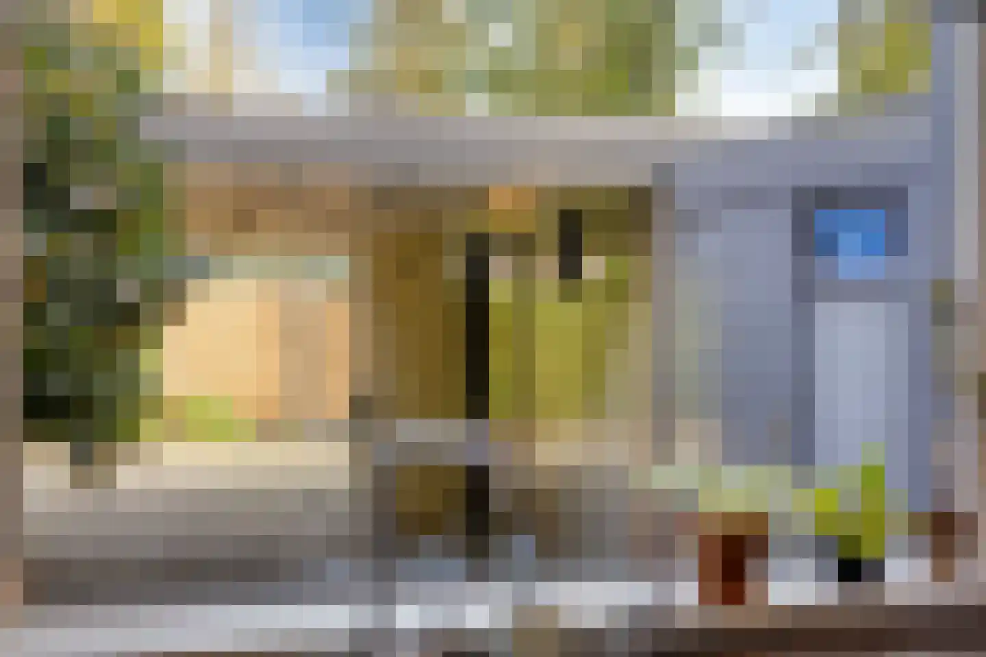 Klimtuin 80 Epe thumbnail 18