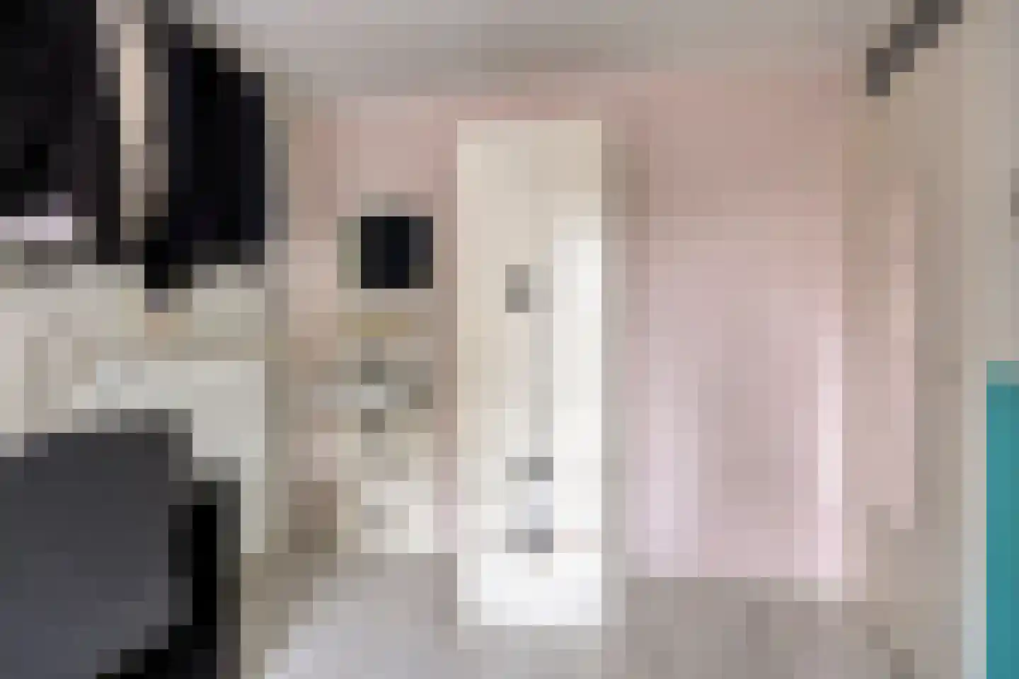 Klimtuin 80 Epe thumbnail 28