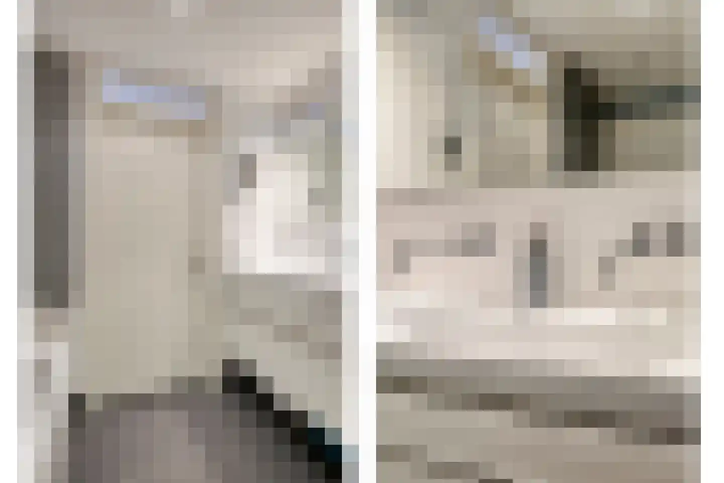Klimtuin 80 Epe thumbnail 31
