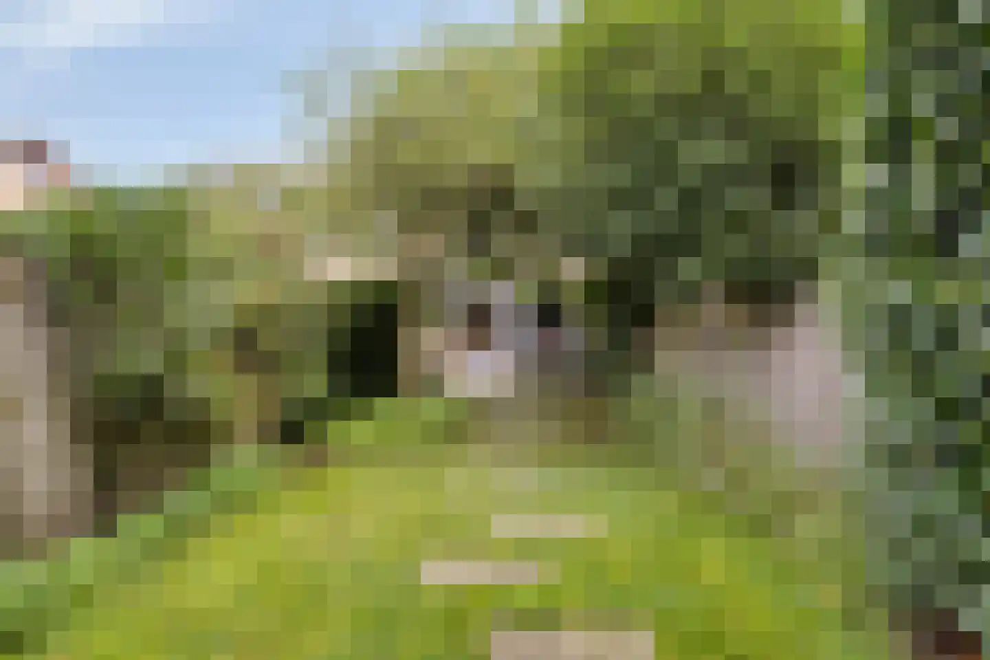 Klimtuin 80 Epe thumbnail 36