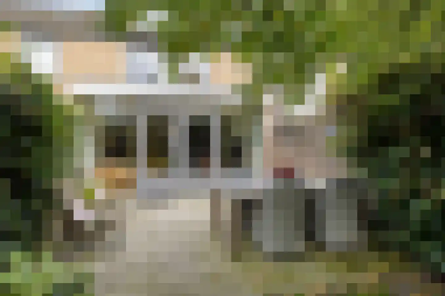 Klimtuin 80 Epe thumbnail 38