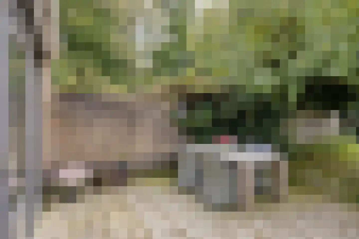 Klimtuin 80 Epe thumbnail 40