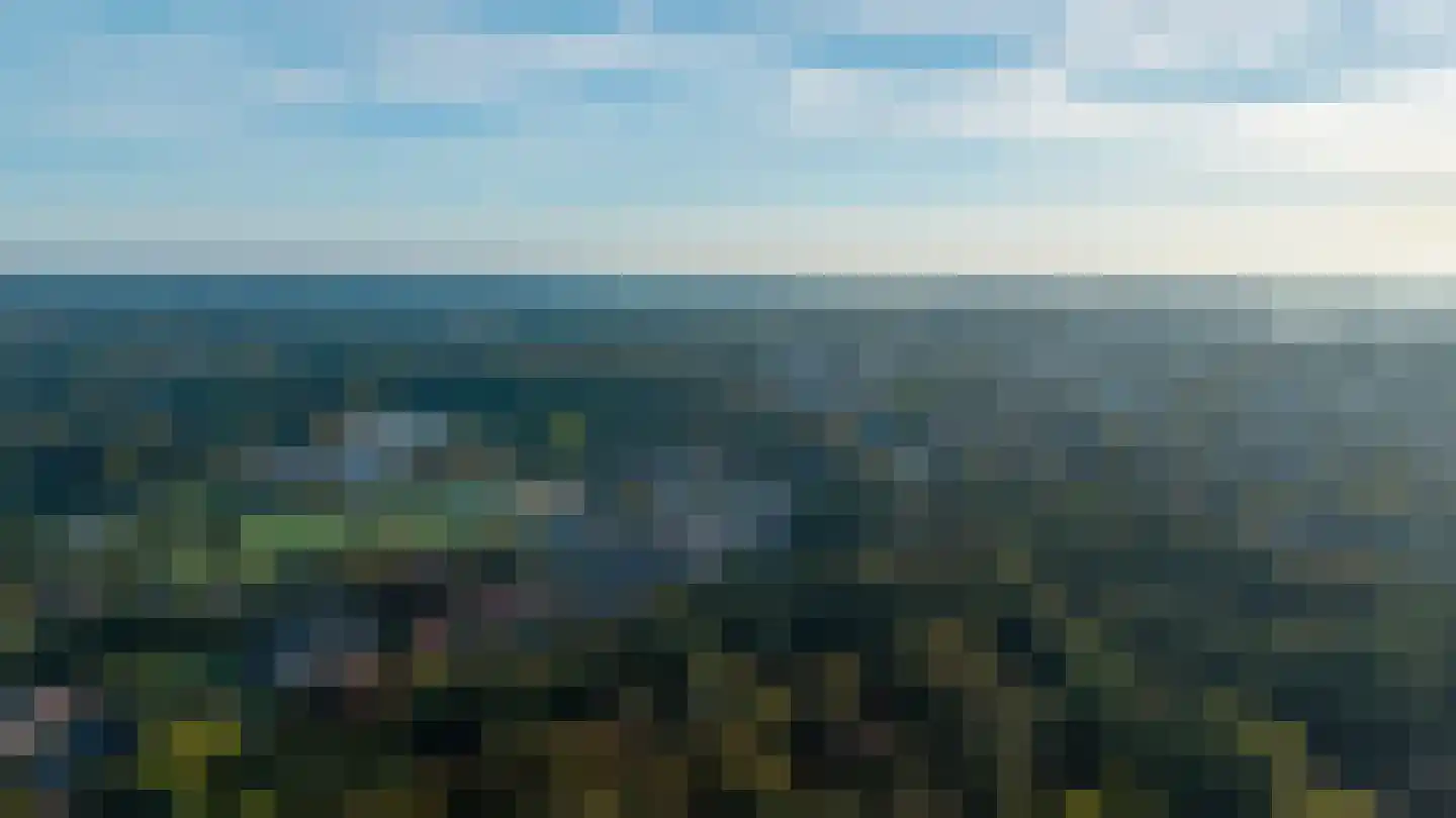 Klimtuin 80 Epe thumbnail 42