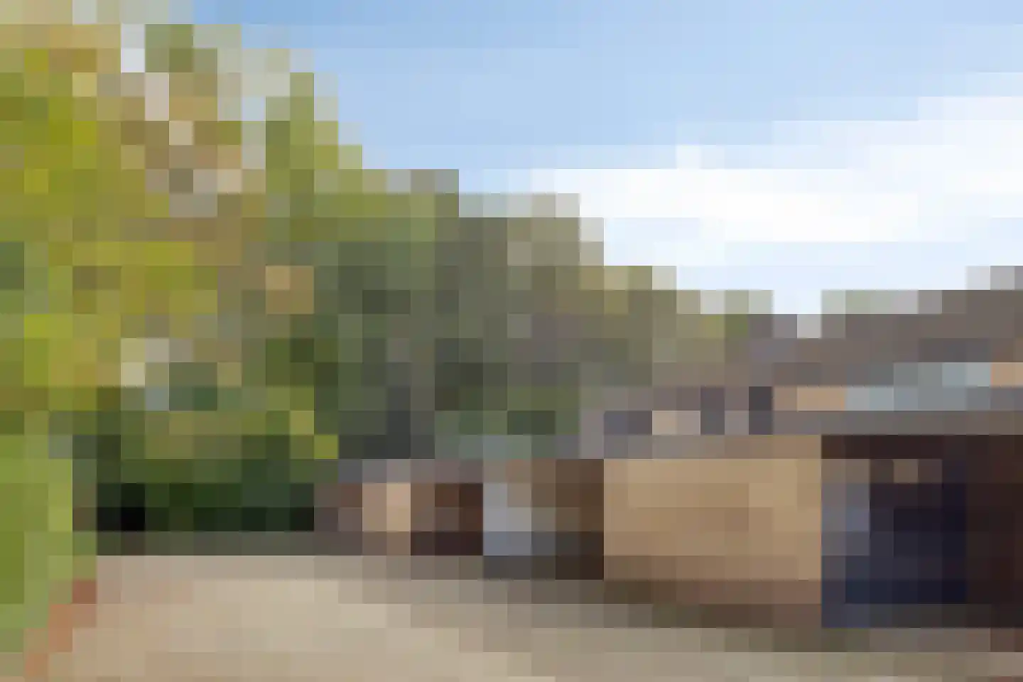 Klimtuin 80 Epe thumbnail 43