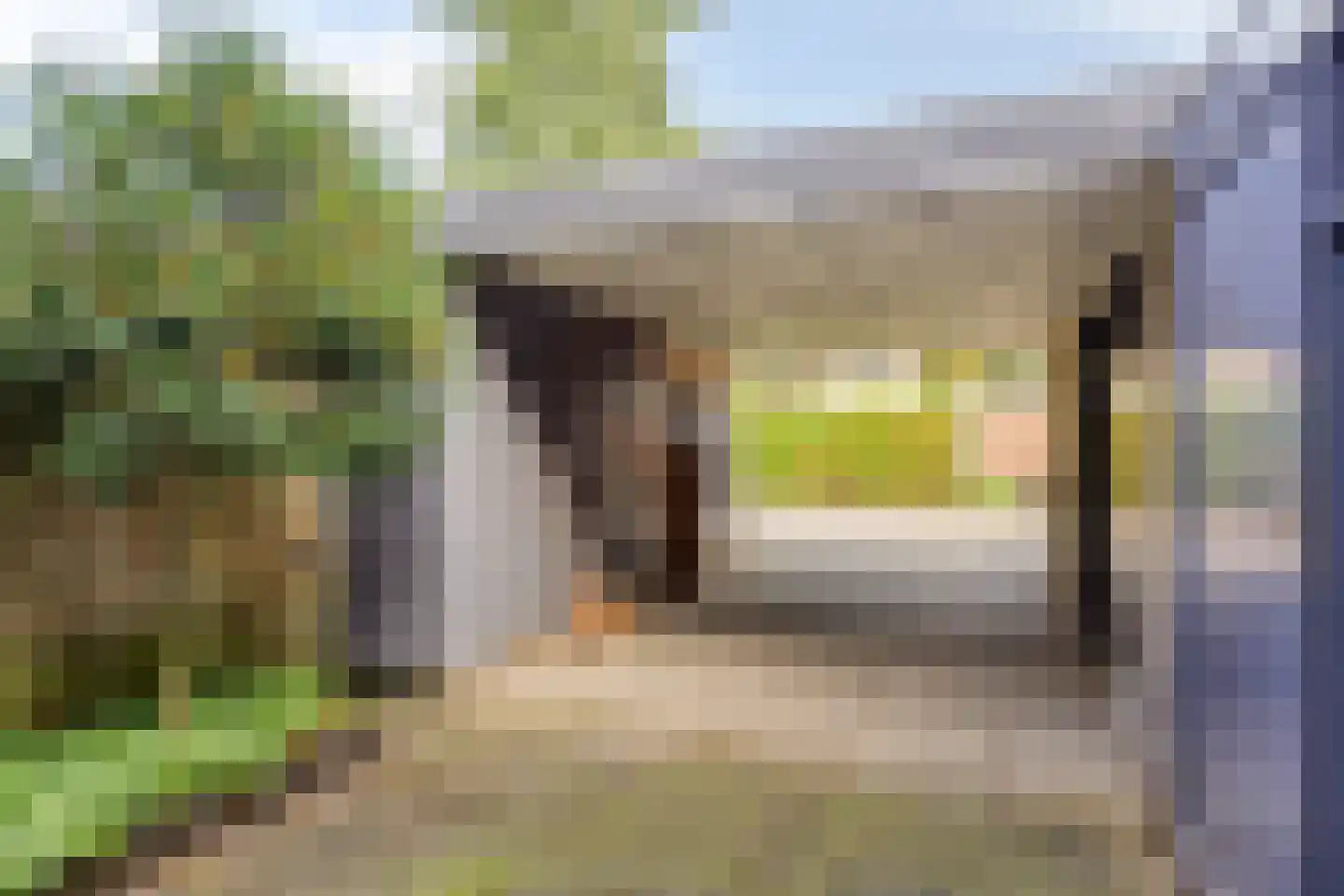 Klimtuin 80 Epe thumbnail 6