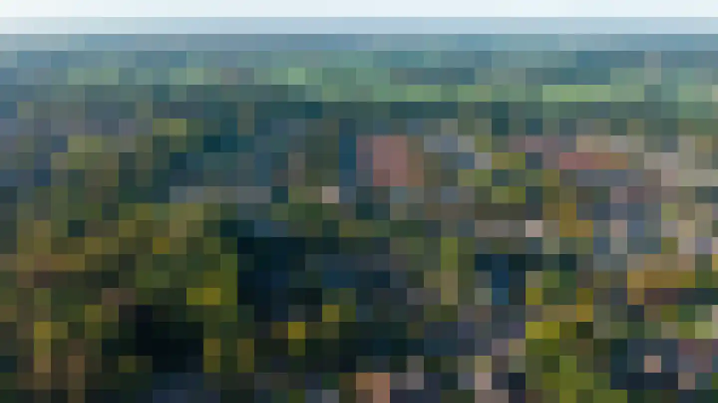 Klimtuin 80 Epe thumbnail 7