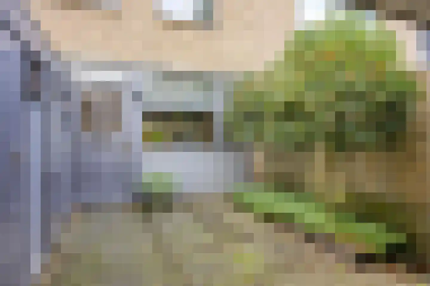 Klimtuin 80 Epe thumbnail 9