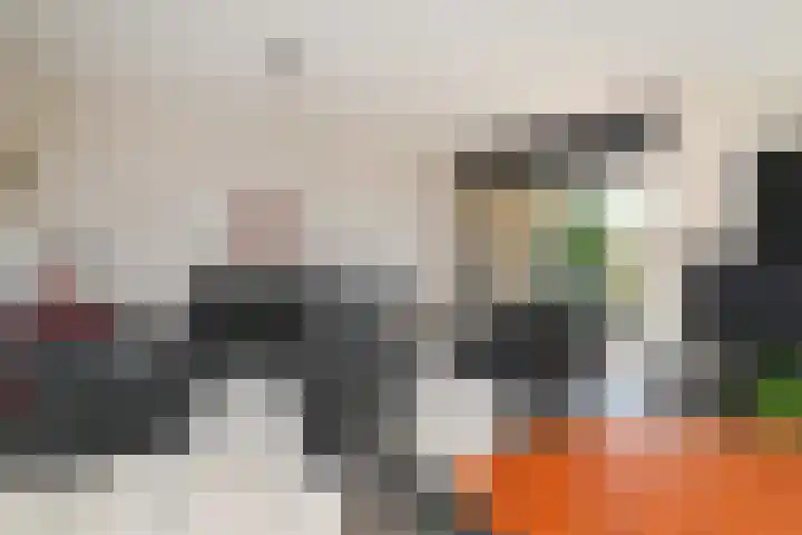 Klimvaren 13 Bergschenhoek thumbnail 10