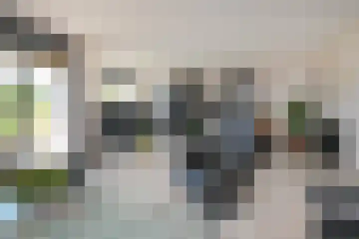 Klimvaren 13 Bergschenhoek thumbnail 12