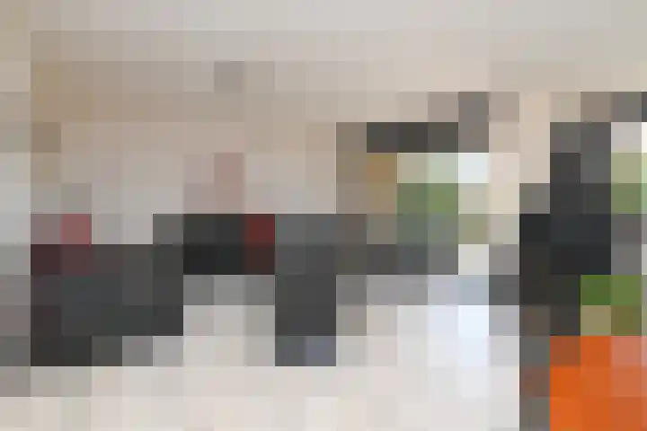 Klimvaren 13 Bergschenhoek thumbnail 13