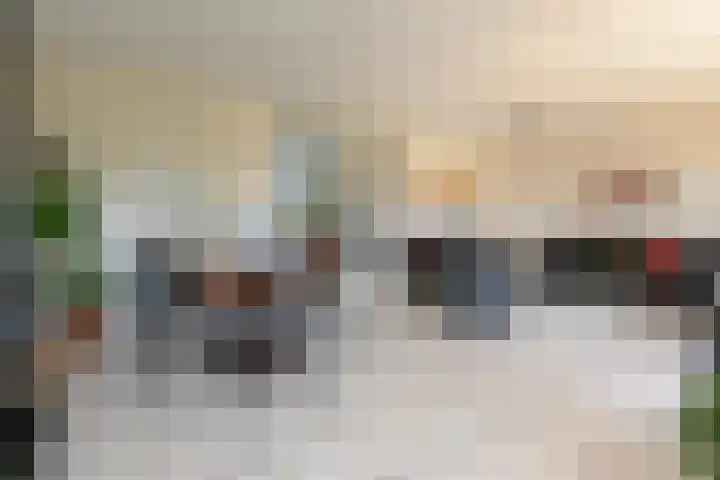 Klimvaren 13 Bergschenhoek thumbnail 14