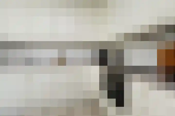 Klimvaren 13 Bergschenhoek thumbnail 17